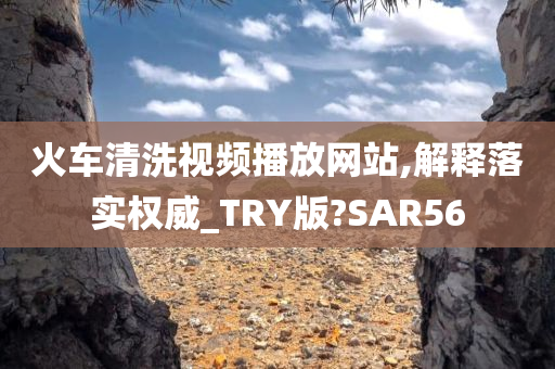 火车清洗视频播放网站,解释落实权威_TRY版?SAR56