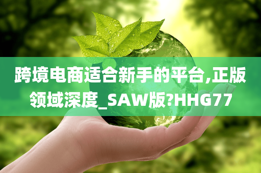 跨境电商适合新手的平台,正版领域深度_SAW版?HHG77