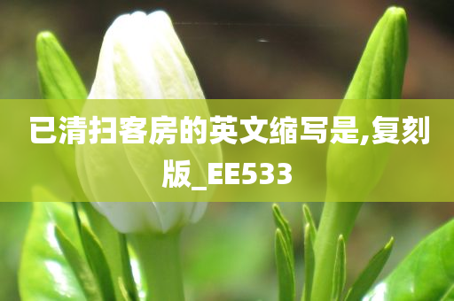 已清扫客房的英文缩写是,复刻版_EE533