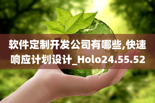 软件定制开发公司有哪些,快速响应计划设计_Holo24.55.52