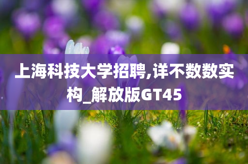 上海科技大学招聘,详不数数实构_解放版GT45