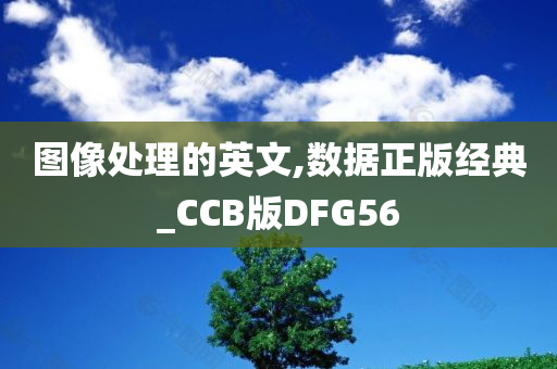 图像处理的英文,数据正版经典_CCB版DFG56