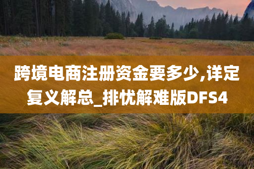 跨境电商注册资金要多少,详定复义解总_排忧解难版DFS4