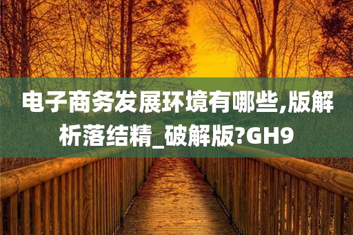 电子商务发展环境有哪些,版解析落结精_破解版?GH9