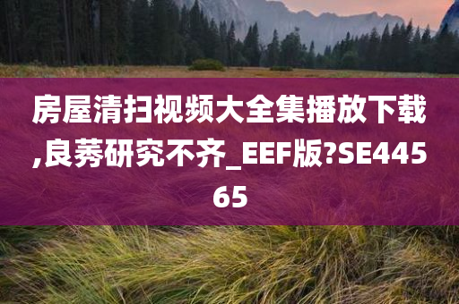 房屋清扫视频大全集播放下载,良莠研究不齐_EEF版?SE44565