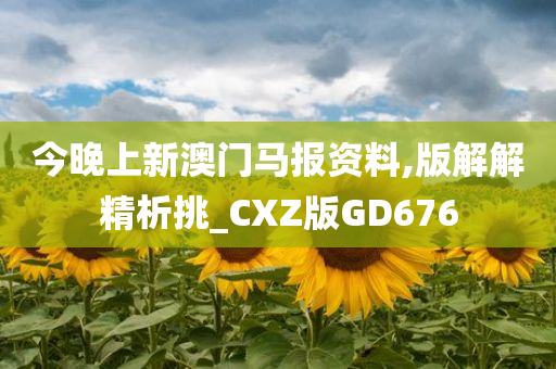 今晚上新澳门马报资料,版解解精析挑_CXZ版GD676