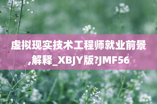 虚拟现实技术工程师就业前景,解释_XBJY版?JMF56