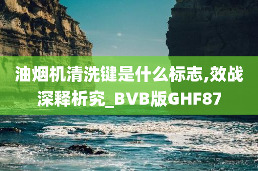 油烟机清洗键是什么标志,效战深释析究_BVB版GHF87