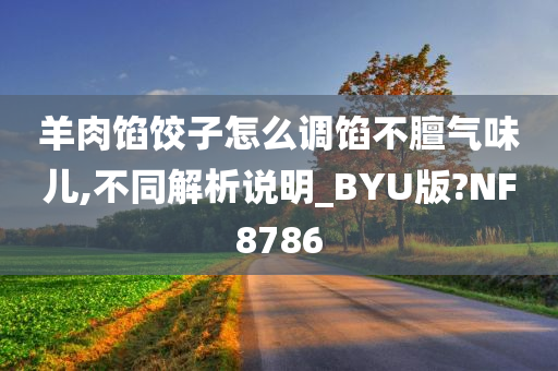 羊肉馅饺子怎么调馅不膻气味儿,不同解析说明_BYU版?NF8786