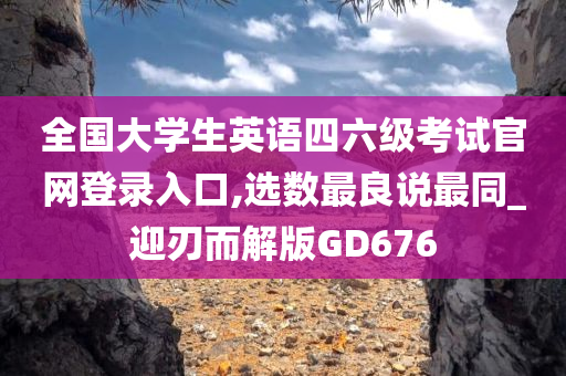 全国大学生英语四六级考试官网登录入口,选数最良说最同_迎刃而解版GD676