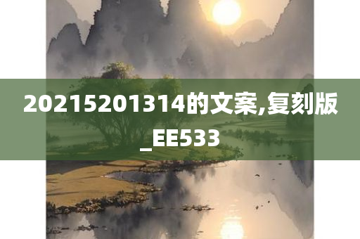 20215201314的文案,复刻版_EE533