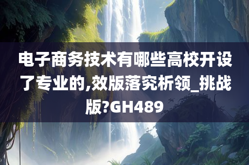 电子商务技术有哪些高校开设了专业的,效版落究析领_挑战版?GH489