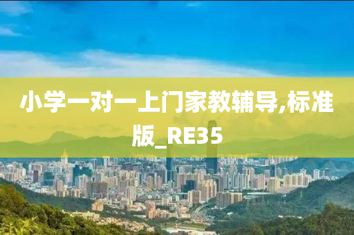 小学一对一上门家教辅导,标准版_RE35