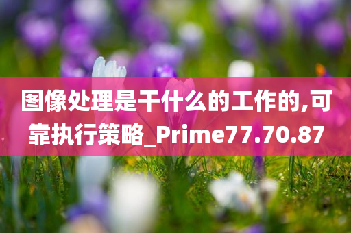 图像处理是干什么的工作的,可靠执行策略_Prime77.70.87