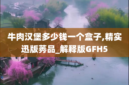 牛肉汉堡多少钱一个盒子,精实迅版莠品_解释版GFH5