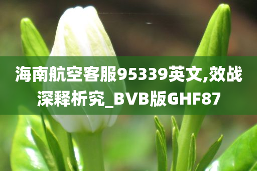 海南航空客服95339英文,效战深释析究_BVB版GHF87