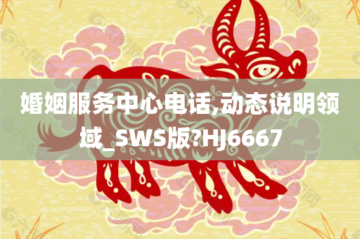 婚姻服务中心电话,动态说明领域_SWS版?HJ6667