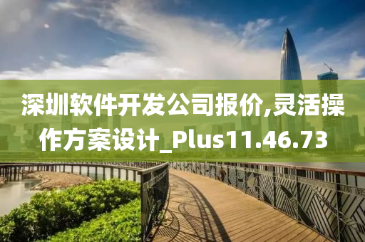 深圳软件开发公司报价,灵活操作方案设计_Plus11.46.73