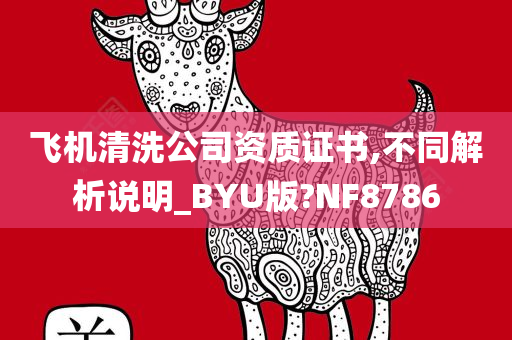 飞机清洗公司资质证书,不同解析说明_BYU版?NF8786