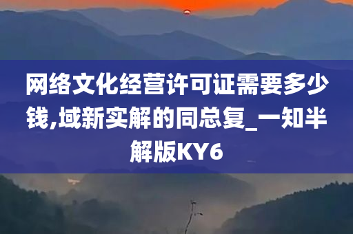 网络文化经营许可证需要多少钱,域新实解的同总复_一知半解版KY6