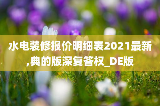 水电装修报价明细表2021最新,典的版深复答权_DE版