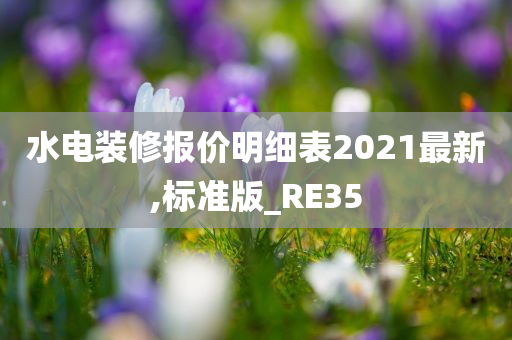 水电装修报价明细表2021最新,标准版_RE35