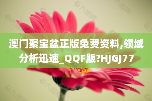 澳门聚宝盆正版兔费资料,领域分析迅速_QQF版?HJGJ77