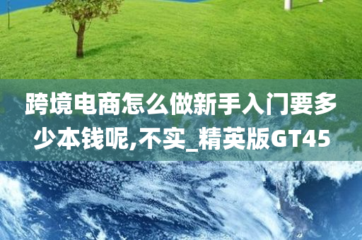 跨境电商怎么做新手入门要多少本钱呢,不实_精英版GT45