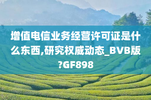 增值电信业务经营许可证是什么东西,研究权威动态_BVB版?GF898