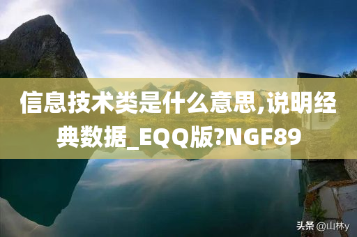 信息技术类是什么意思,说明经典数据_EQQ版?NGF89