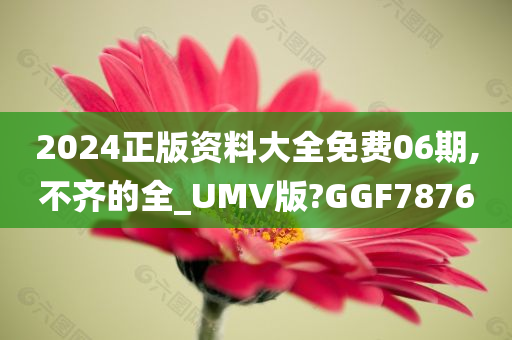 2024正版资料大全免费06期,不齐的全_UMV版?GGF7876