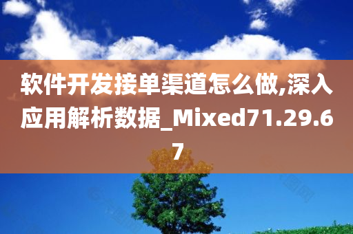 软件开发接单渠道怎么做,深入应用解析数据_Mixed71.29.67