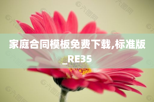 家庭合同模板免费下载,标准版_RE35