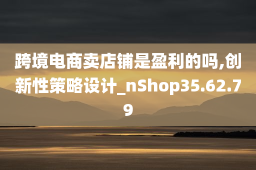 跨境电商卖店铺是盈利的吗,创新性策略设计_nShop35.62.79