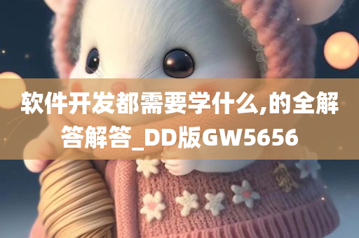 软件开发都需要学什么,的全解答解答_DD版GW5656