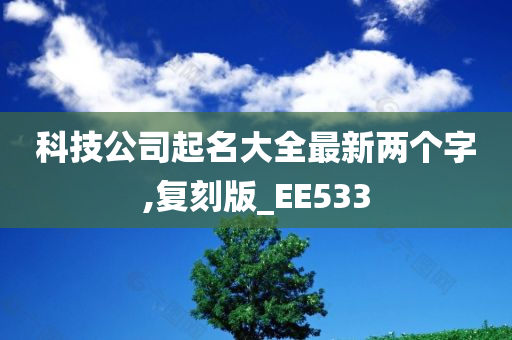 科技公司起名大全最新两个字,复刻版_EE533