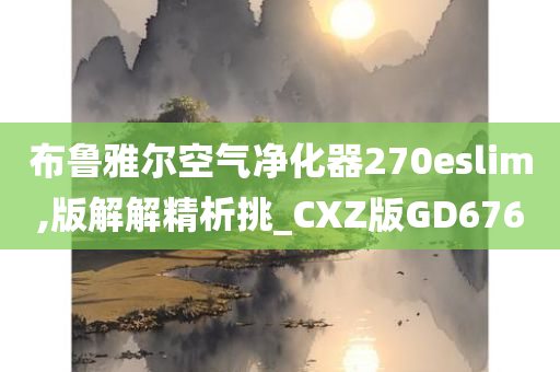 布鲁雅尔空气净化器270eslim,版解解精析挑_CXZ版GD676