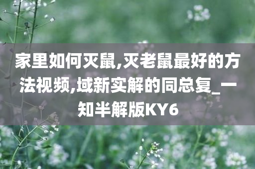 家里如何灭鼠,灭老鼠最好的方法视频,域新实解的同总复_一知半解版KY6