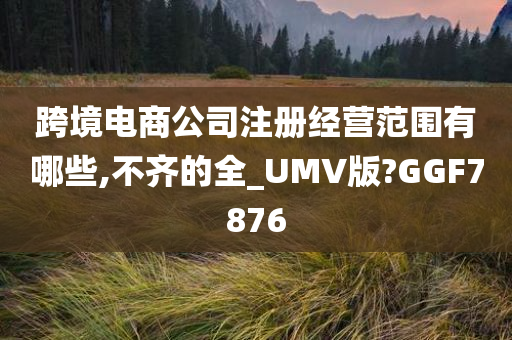 跨境电商公司注册经营范围有哪些,不齐的全_UMV版?GGF7876