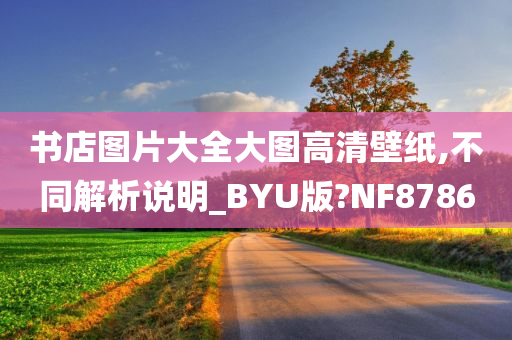 书店图片大全大图高清壁纸,不同解析说明_BYU版?NF8786