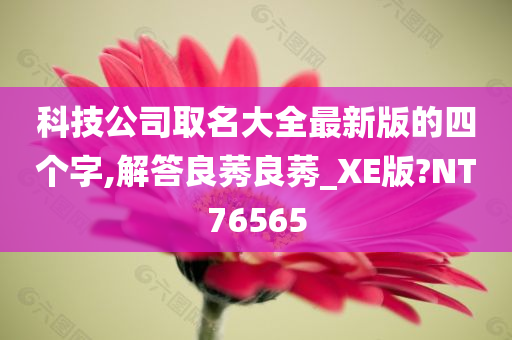 科技公司取名大全最新版的四个字,解答良莠良莠_XE版?NT76565