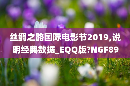 丝绸之路国际电影节2019,说明经典数据_EQQ版?NGF89