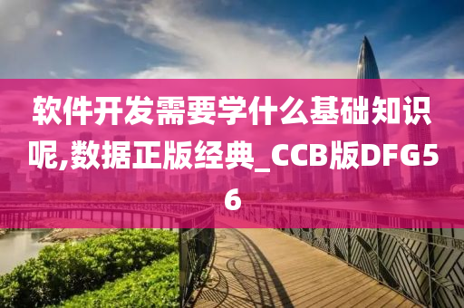 软件开发需要学什么基础知识呢,数据正版经典_CCB版DFG56