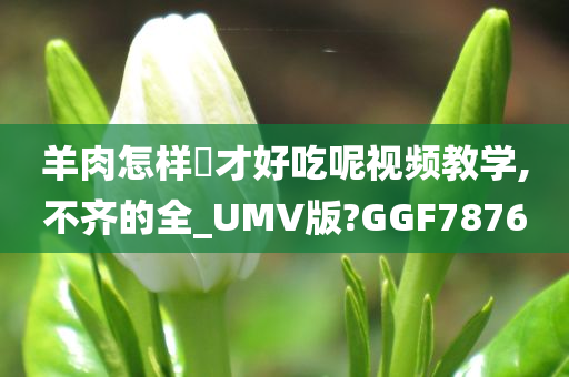 羊肉怎样炆才好吃呢视频教学,不齐的全_UMV版?GGF7876