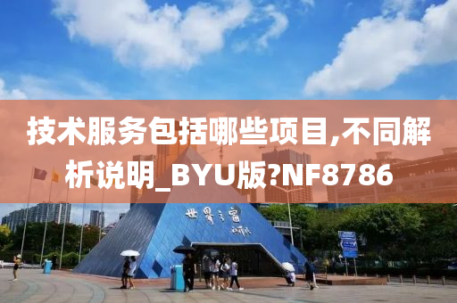 技术服务包括哪些项目,不同解析说明_BYU版?NF8786