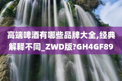 高端啤酒有哪些品牌大全,经典解释不同_ZWD版?GH4GF89