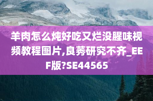 羊肉怎么炖好吃又烂没腥味视频教程图片,良莠研究不齐_EEF版?SE44565