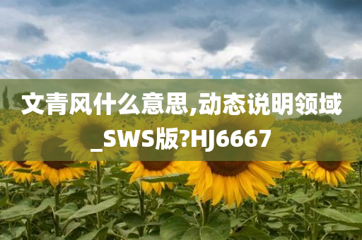 文青风什么意思,动态说明领域_SWS版?HJ6667