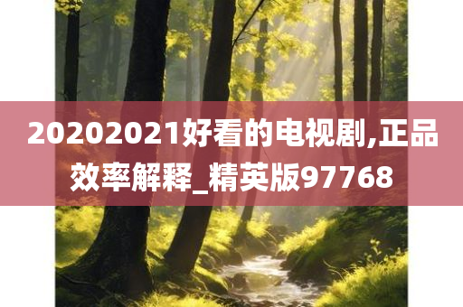 20202021好看的电视剧,正品效率解释_精英版97768