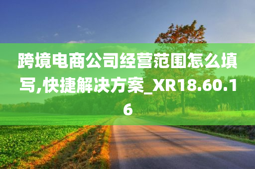 跨境电商公司经营范围怎么填写,快捷解决方案_XR18.60.16